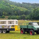 Kleiner Fuchs Irrhausen