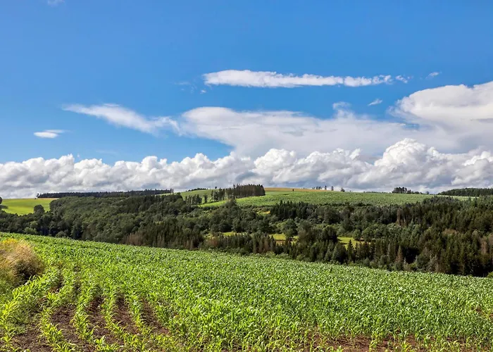 Kleiner Fuchs * Irrhausen