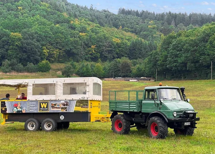 Kleiner Fuchs Irrhausen